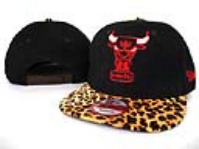 NBA hats-316